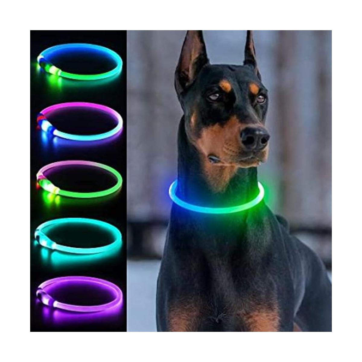 Collares de perro iluminados collar de perro LED
