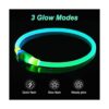 Collares de perro iluminados collar de perro LED_3