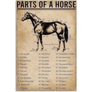 Horse Knowledge Letrero de metal para decoración de_1