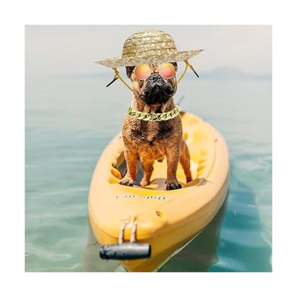 Disfraz de gato y perro gafas de sol retro para mascotas