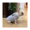 Anelekor Sudaderas con capucha para perro abrigo con
