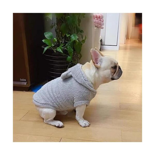 Anelekor Sudaderas con capucha para perro abrigo con