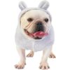 Anelekor Sudaderas con capucha para perro abrigo con