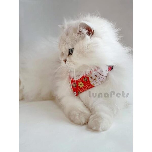 OHAYO Bandana japonesa para gatos paquete de 2 unidades