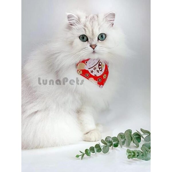OHAYO Bandana japonesa para gatos paquete de 2 unidades