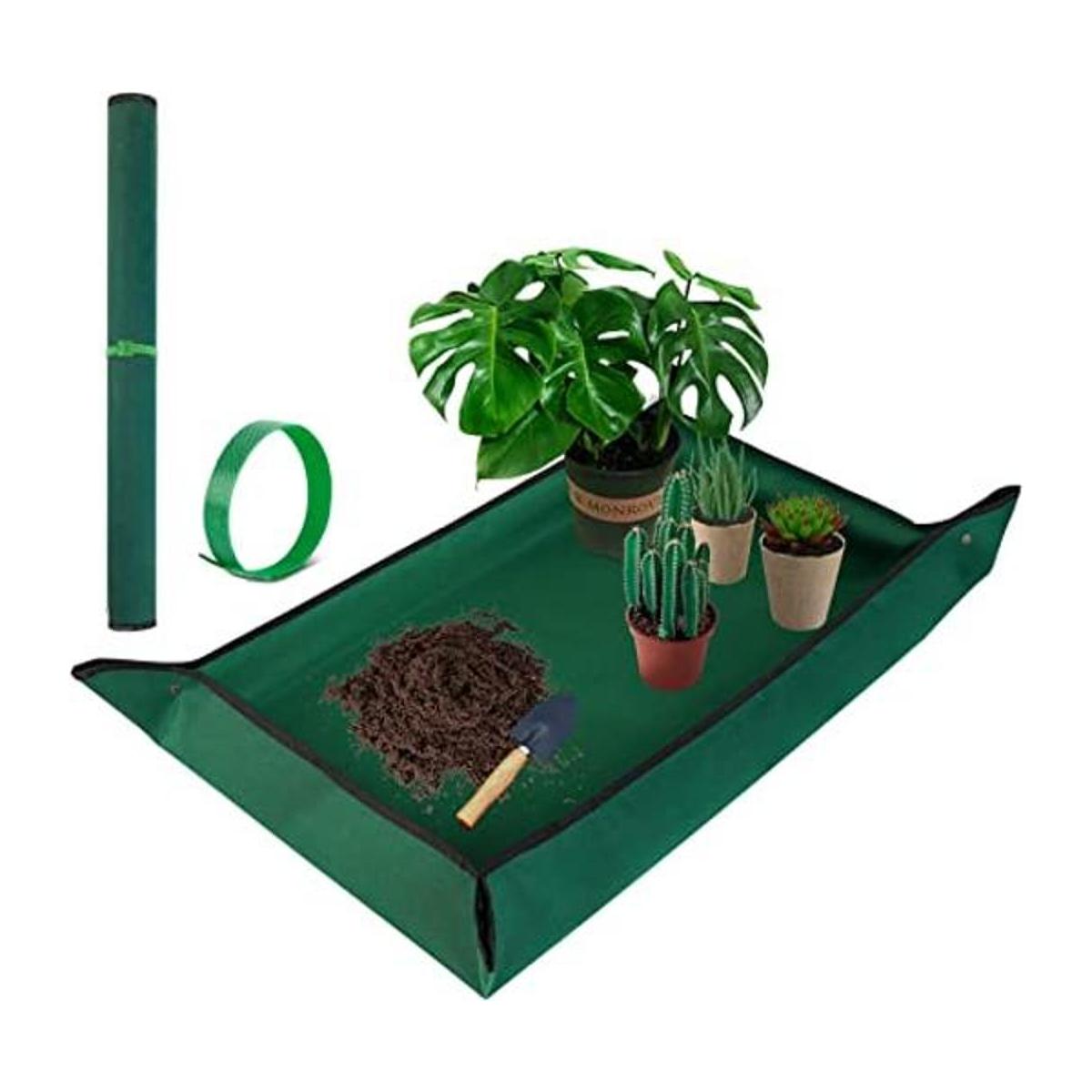 Tapete de reposo para trasplante de plantas de interior y