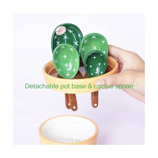 Juego de cucharas medidoras de cactus de cerámica en