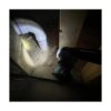 Metabo HPT Antorcha LED inalámbrica MultiVolt de 18 V