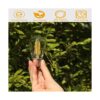 Bombilla LED de 12 V 24 V con bajo voltaje de energía de_2