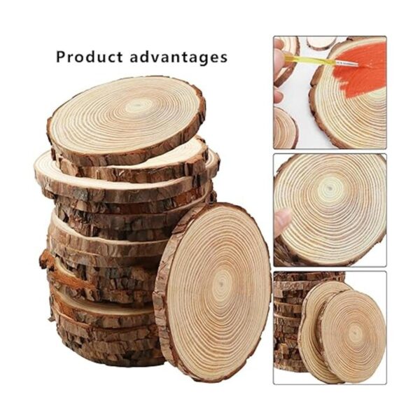 FSWCCK Juego de 17 piezas de rebanadas de madera sin