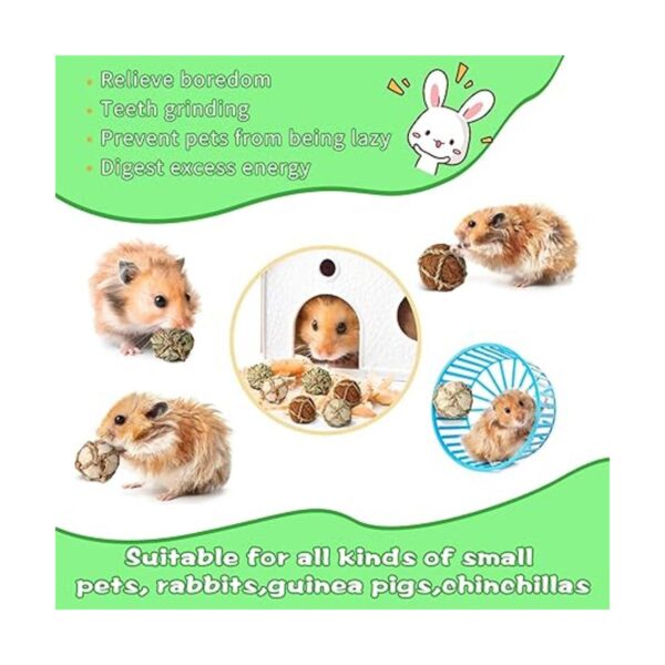 Paquete de 24 bolas de juego de animales pequeños