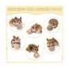 Paquete de 24 bolas de juego de animales pequeños