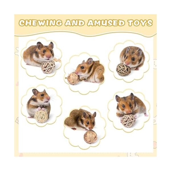 Paquete de 24 bolas de juego de animales pequeños