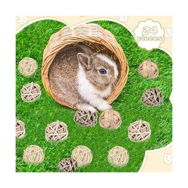 Paquete de 24 bolas de juego de animales pequeños