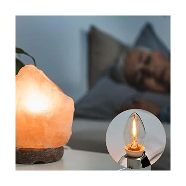 Paquete de 2 cables de accesorios con bombillas LED_4