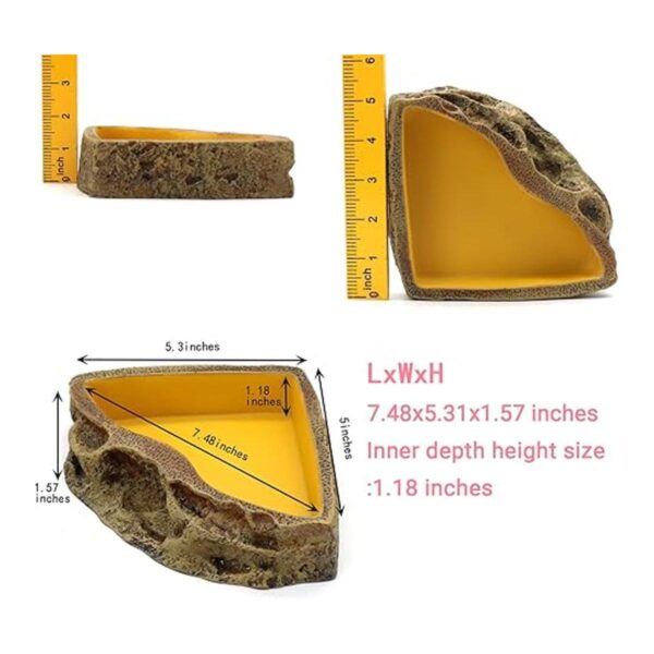Comedero de reptiles cuenco de resina para reptiles