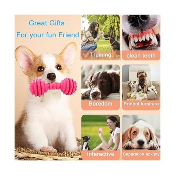 Puppy Toys Dog Chew Toys for Puppy Teething 6 Pack 28_3