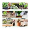 Bonsai Tools Kit 21 Pcs Gardening Trimming Tools Set