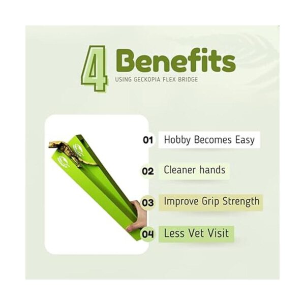 GECKOPIA Reptile Flex Bridge Reptile Bridge Gecko