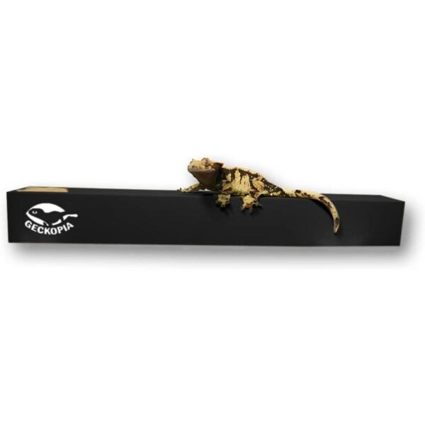 GECKOPIA Reptile Flex Bridge Reptile Bridge Gecko