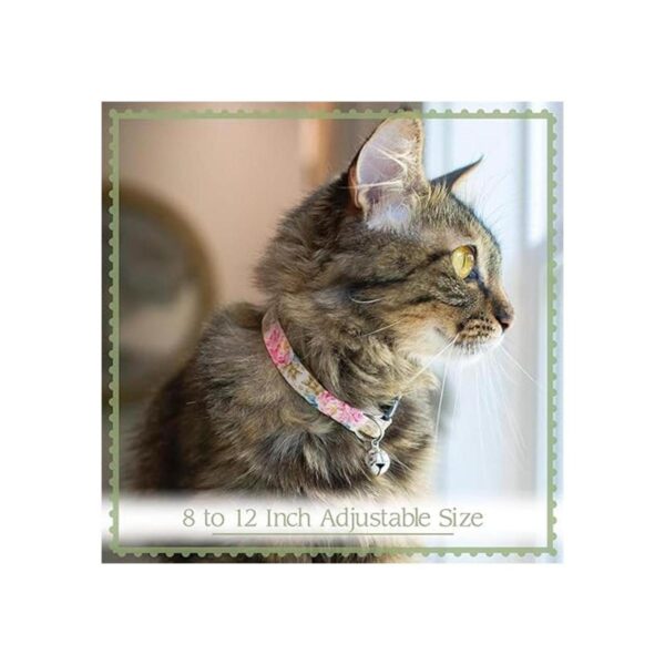 Country Brook Petz Collar de gato Serape Colección_2