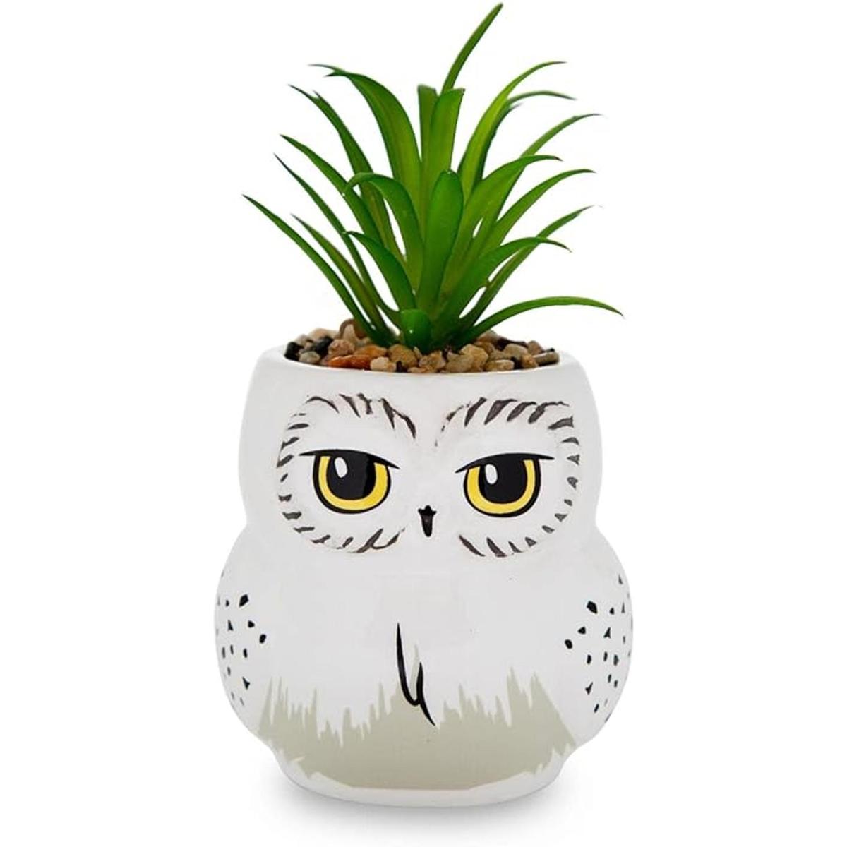 Harry Potter Hedwig Mini maceta de cerámica de 3 pulgadas