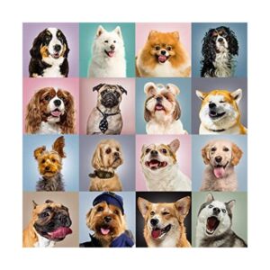 Rompecabezas de 100 piezas divertidos para perros para_1