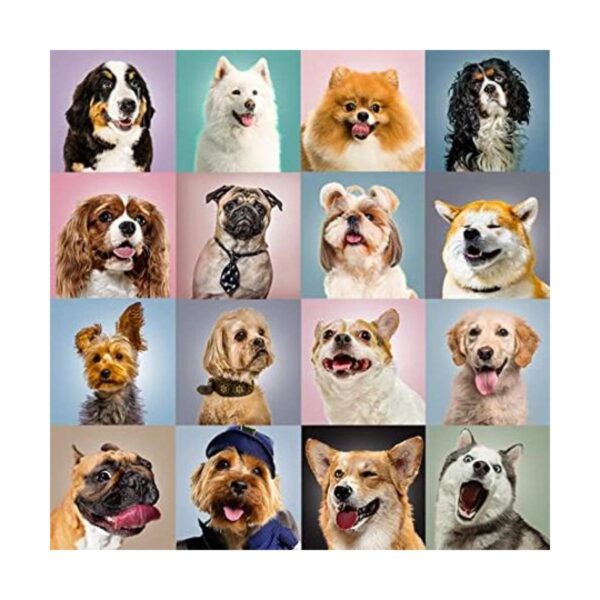 Rompecabezas de 100 piezas divertidos para perros para_1