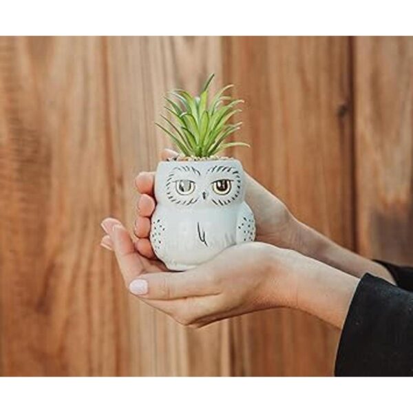 Harry Potter Hedwig Mini maceta de cerámica de 3 pulgadas