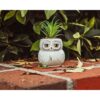Harry Potter Hedwig Mini maceta de cerámica de 3 pulgadas