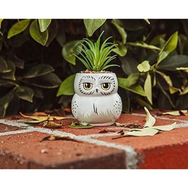 Harry Potter Hedwig Mini maceta de cerámica de 3 pulgadas