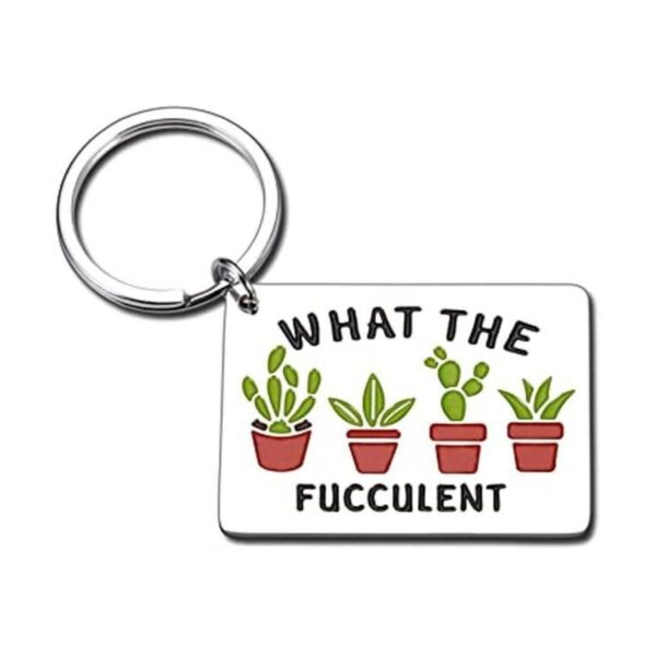 Divertido llavero de regalo de cactus para la naturaleza_1