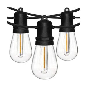 Cadena de luces LED para exteriores S14 de 30 pies con 10_1