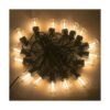Cadena de luces LED para exteriores S14 de 30 pies con 10_4