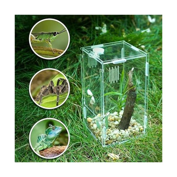 BETAZOOER Mini tanque de reptiles de acrílico terrarios