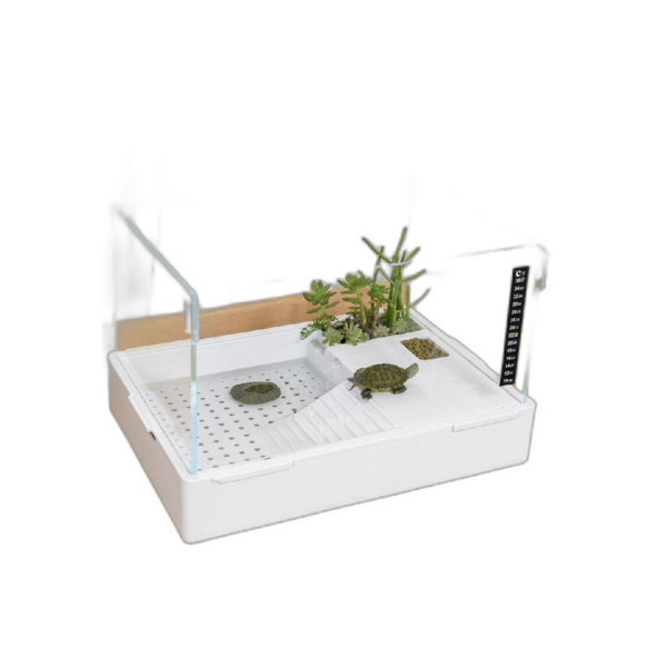 BETAZOOER Turtle Tank with Adjustable Water Pump Filter_1