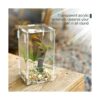 BETAZOOER Mini tanque de reptiles de acrílico terrarios