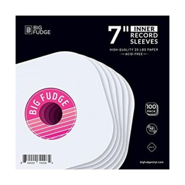 BIG FUDGE Fundas interiores de discos de vinilo de 100 x_1