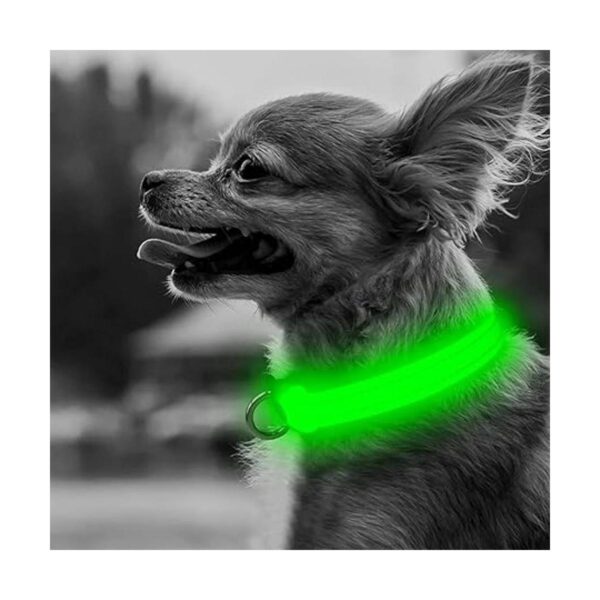 BSEEN Collares de perro iluminados collar ajustable para_5