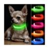 BSEEN Collares de perro iluminados collar ajustable para_1