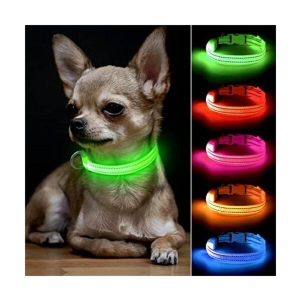 BSEEN Collares de perro iluminados collar ajustable para_1