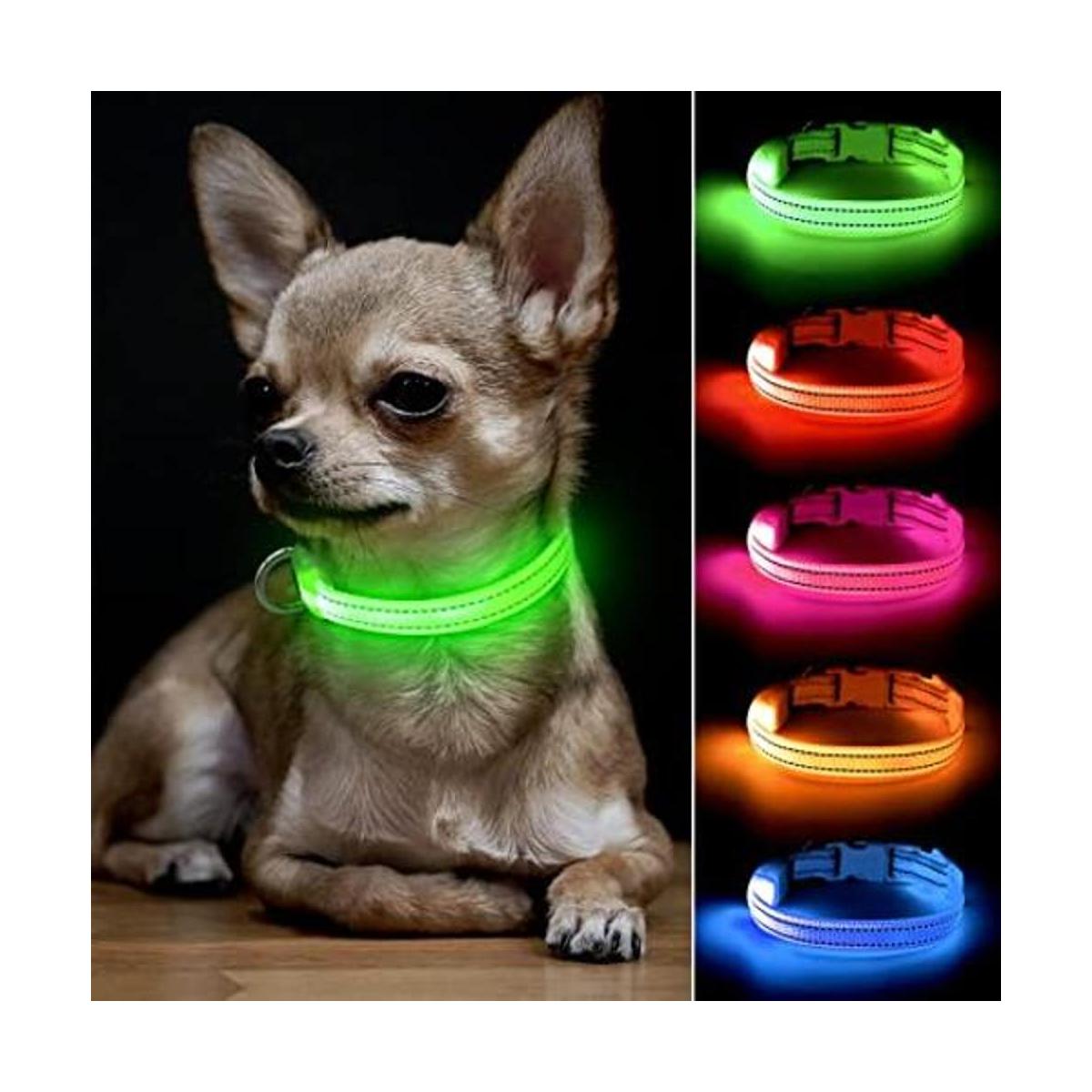 BSEEN Collares de perro iluminados collar ajustable para