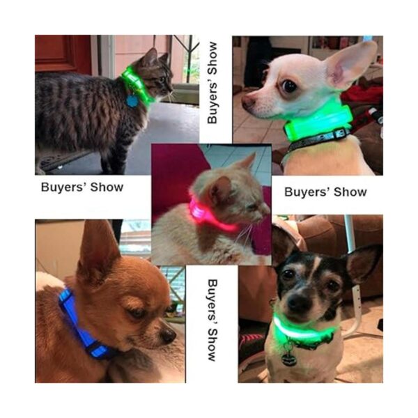 BSEEN Collares de perro iluminados collar ajustable para_6