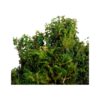 BYHER Musgo falso musgo verde fresco artificial para