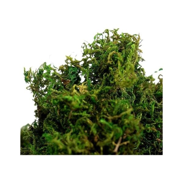 BYHER Musgo falso musgo verde fresco artificial para