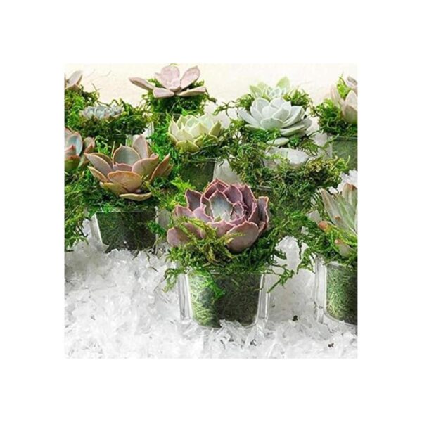 BYHER Musgo falso musgo verde fresco artificial para
