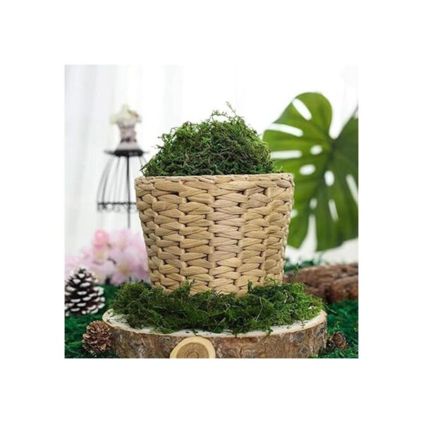 BYHER Musgo falso musgo verde fresco artificial para