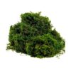 BYHER Musgo falso musgo verde fresco artificial para
