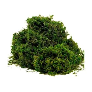 BYHER Musgo falso musgo verde fresco artificial para