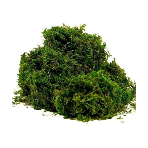 BYHER Musgo falso musgo verde fresco artificial para